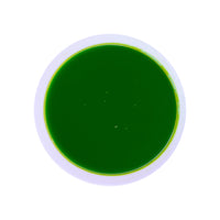 Iwai No Shiro 祝の白